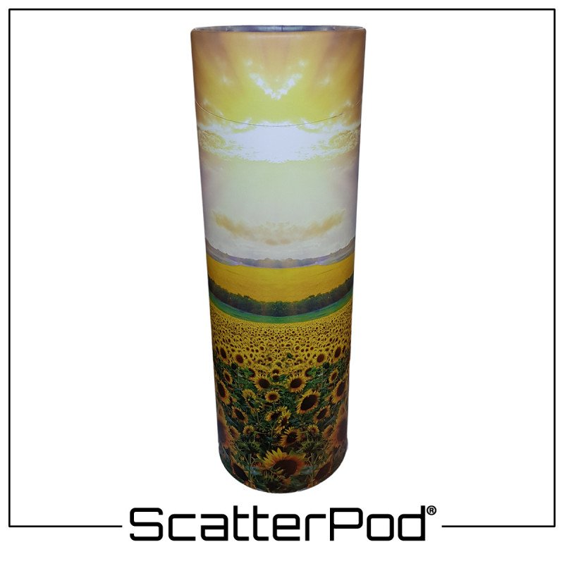 Sunflower Field ScatterPod® Sunflower Field ScatterPod®