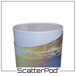 Sunflower Field ScatterPod®