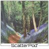 Bluebell Woodland ScatterPod®