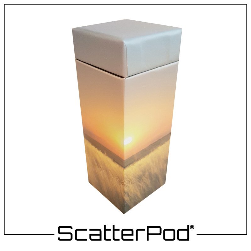 Sunset Field ScatterPod® Sunset Field ScatterPod®