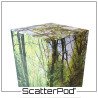 Bluebell Woodland ScatterPod®